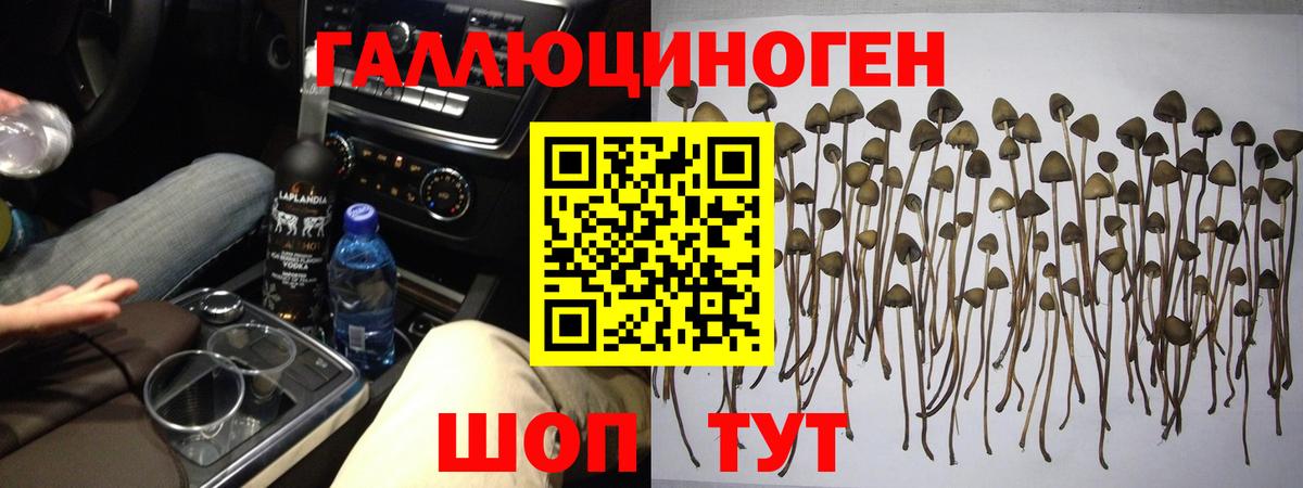Галлюциногенные грибы прущие грибы  Псилоцибиновые грибы ЛСД  Семилуки  Вход с VPN 