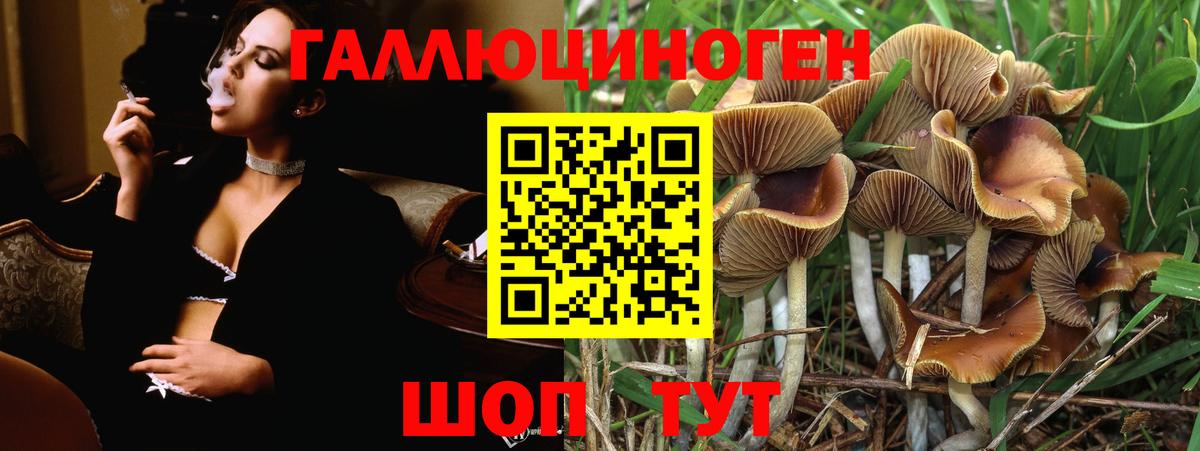 Галлюциногенные грибы Magic Shrooms Семилуки